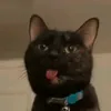 lalalaalalallalalalalaa