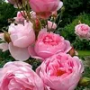 son._bahar0