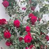 mwaqasmwaqas859