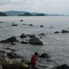 kangdita24