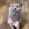 lilacbritishshorthairs