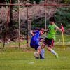hanselcanocr10