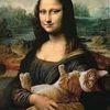 hkittyv
