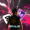 BMaX AE