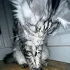huynh.minhduc