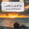 www.amine1.com