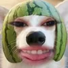 jo_an234