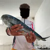 alex_mond_