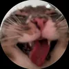 muathuvenice21