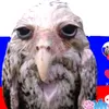 zaebali_menyat_nick