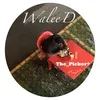 waleedthepicker