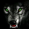 thestoutwolf