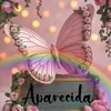 aparecidasouzadon2