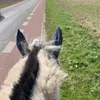 freja_euq