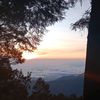 zaidananwar13