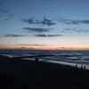 zeebrazeebra
