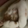 .ezzfr