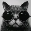 mannmitschwarzerbrille