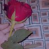 user011318872