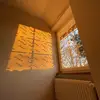ventana_9808