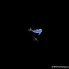 tt_310308