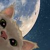 moon.5153