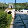 asjaarti