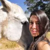 rachelveterinaria