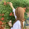 engymohamed2920