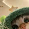 adaajadeh342