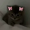 elizavetaswiftkey1
