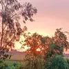 longquan_80