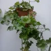 pilarrivero59