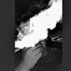 kikin12371