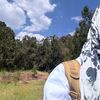 butterly_2014
