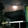 adamnadira385