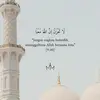 dib_20