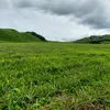 afs.photogrqphy