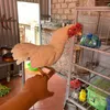 dyu0hwmuhglr