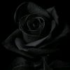 user6191231666993