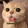 heeeere3524255677