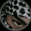 satora.sy