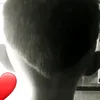 rodrigoarce200