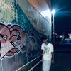 fz_fryy