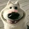 hungadz6