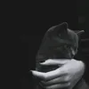 n..8..8