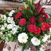 om_talal02