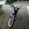 nurkolis528