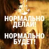 lion.20.02