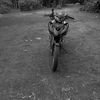 dewa_bucil